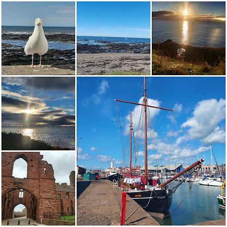 The Snug Lejlighed Arbroath Eksteriør billede
