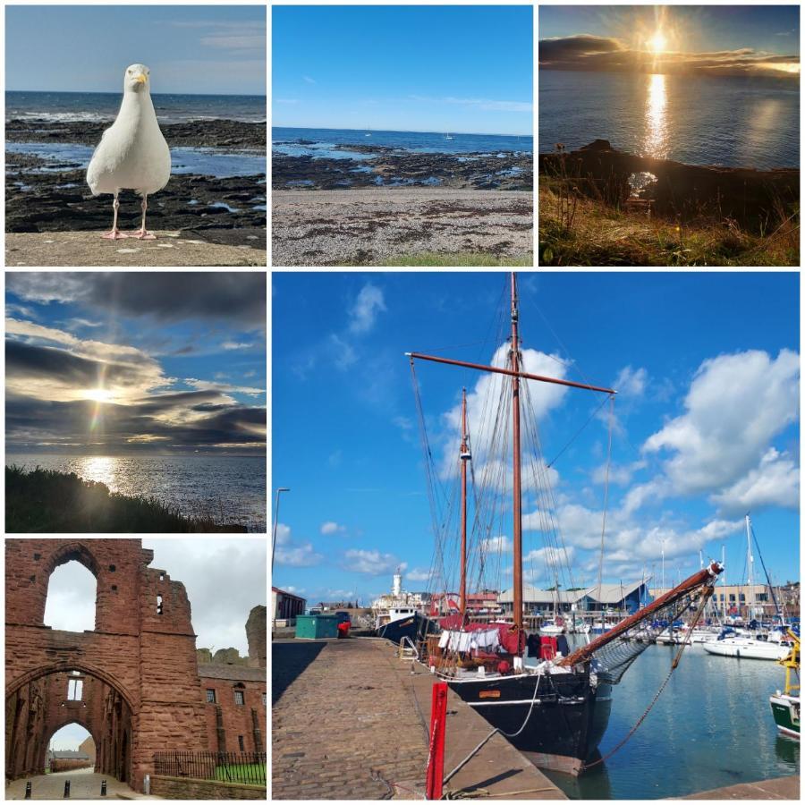 The Snug Lejlighed Arbroath Eksteriør billede